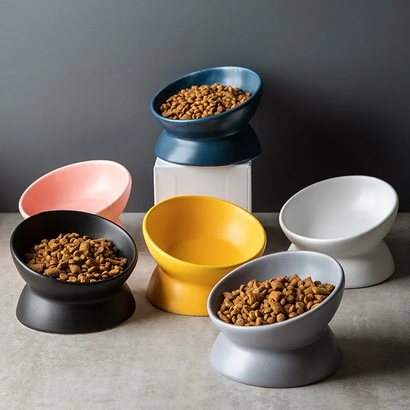 Feeding & Bowls