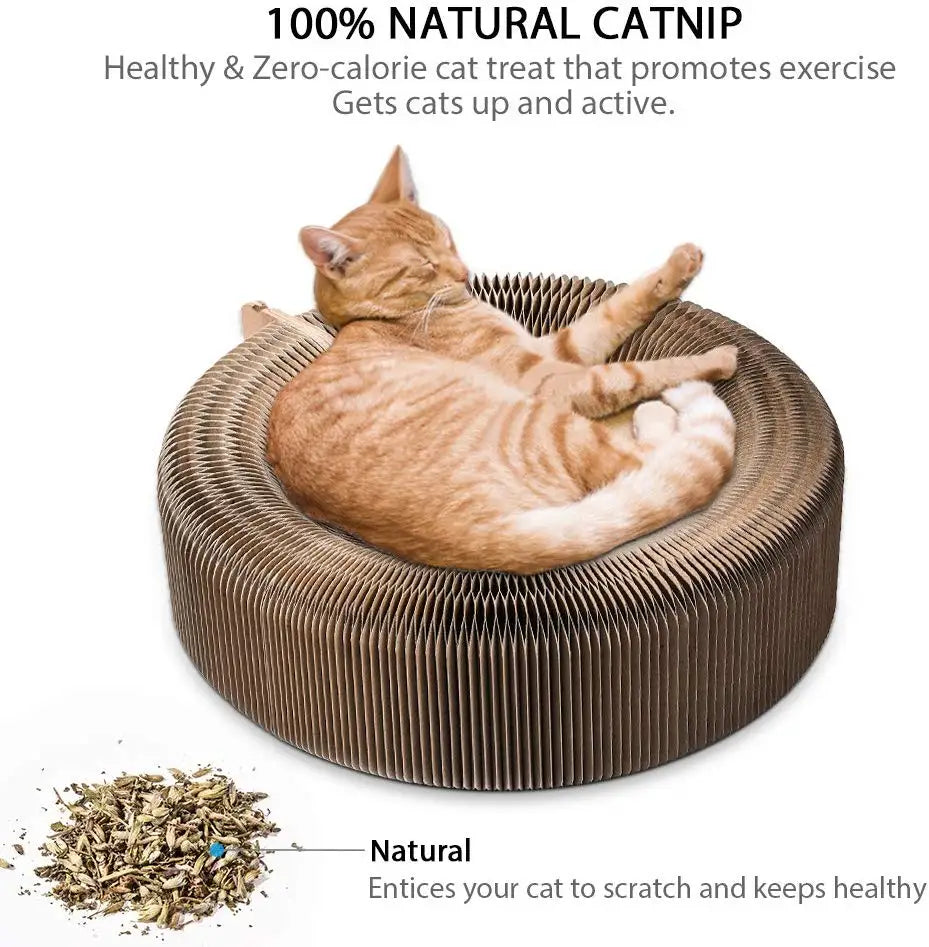 Furiva Collapsible Corrugated Cat Scratcher Bed - product image 3
