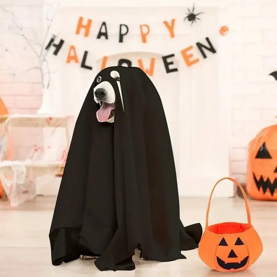 Furiva Halloween Ghost Cloak for Dogs & Cats from Furiva Pets