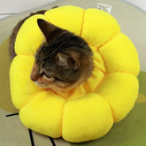 Furiva Soft Sunflower Pet Recovery Collar - product image 6