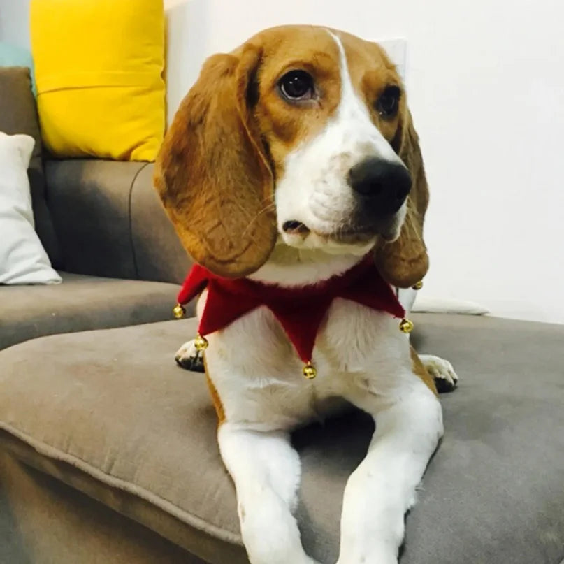 Furiva Christmas Bell Pet Bandana Collar - product image 3