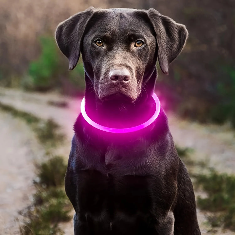 Furiva USB Rechargeable LED Dog Collar - product image 9