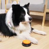 Furiva Recordable Pet Communication Buttons - product image 2