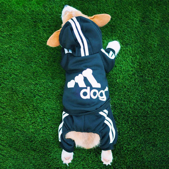 Furiva Cotton Pet Hoodie Jumpsuit from Furiva Pets