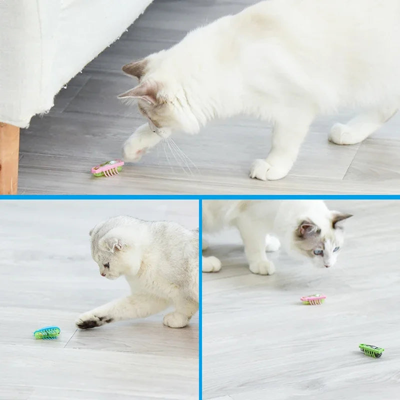 Furiva Mini Moving Bug Cat Toy - product image 5