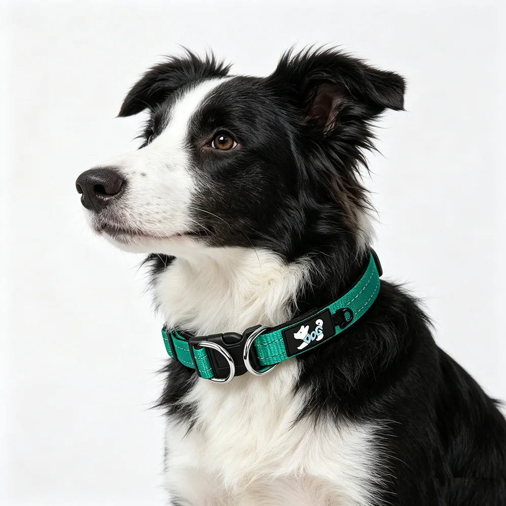 Furiva Comfort-Lined Reflective Dog Collar - product image 3