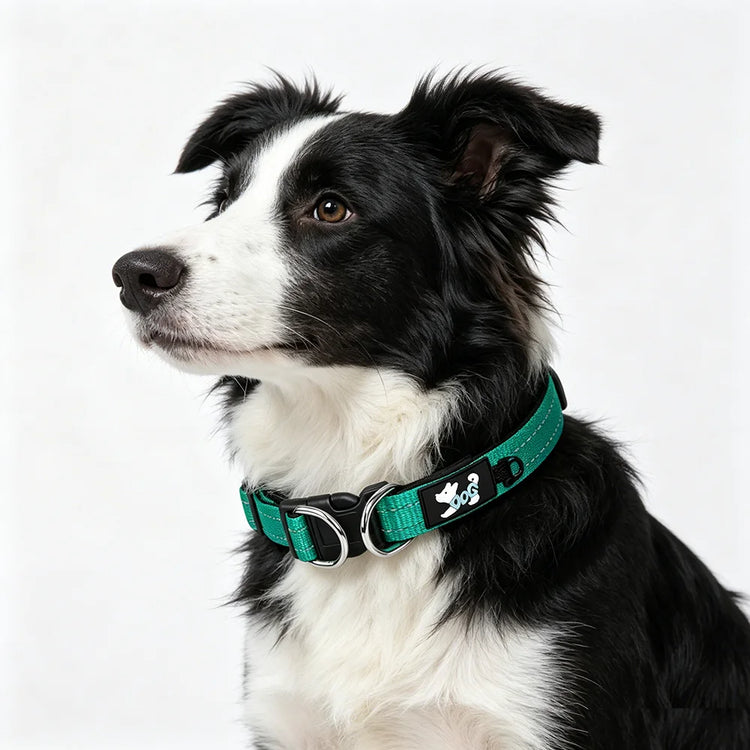 Furiva Comfort-Lined Reflective Dog Collar - product image 3