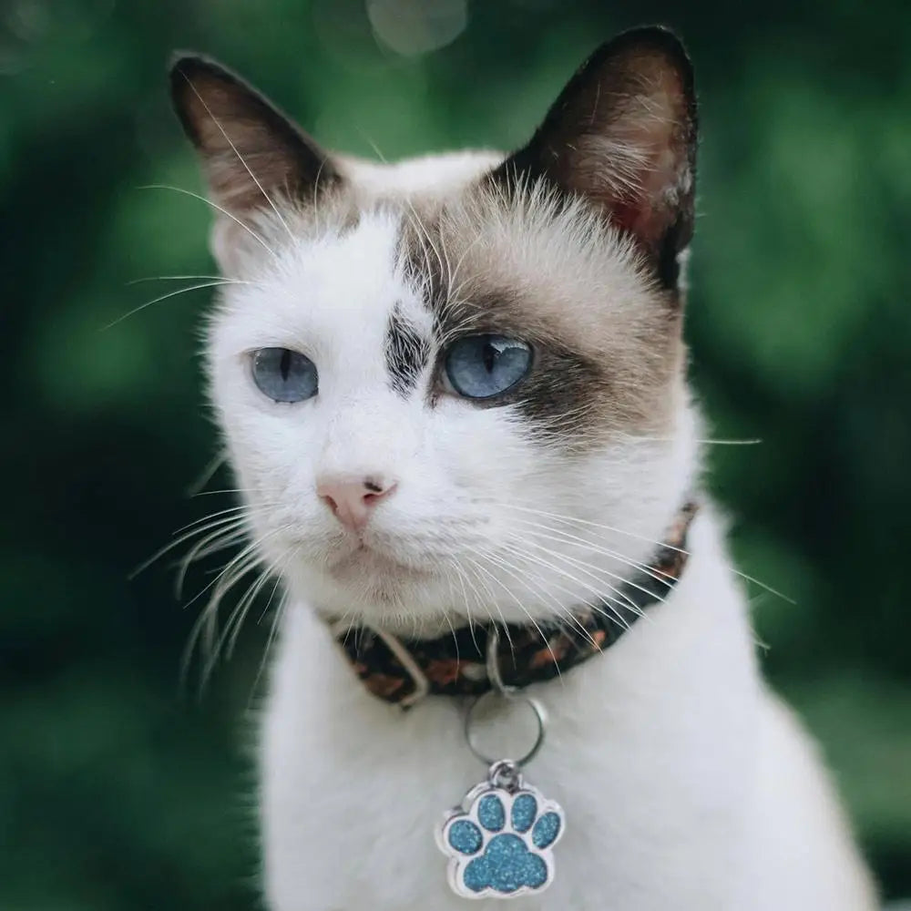 Furiva Paw Print Glitter Pet Collar Tag - product image 3