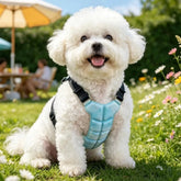 Furiva PCM Reflective Cooling Vest for Dogs - product image 2