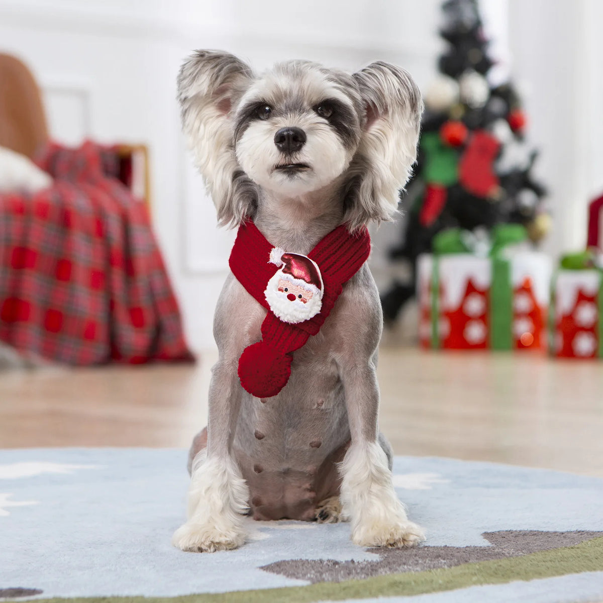 Furiva Knitted Holiday Pet Scarf - product image 7