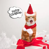 Furiva Santa Hat & Scarf Pet Set - product image 4
