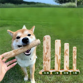 Furiva Coffee Wood Dog Chew Stick from Furiva Pets