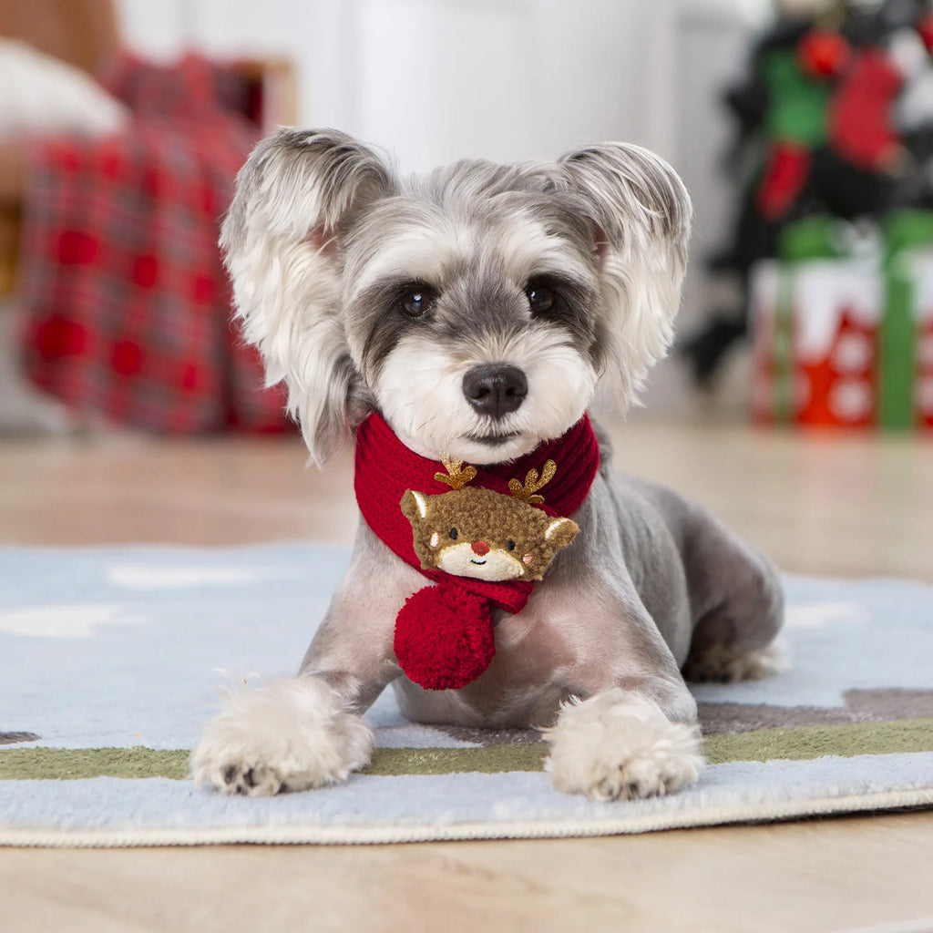 Furiva Knitted Holiday Pet Scarf - product image 3