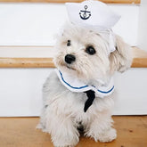 Furiva Sailor Pet Costume for Dogs & Cats from Furiva Pets