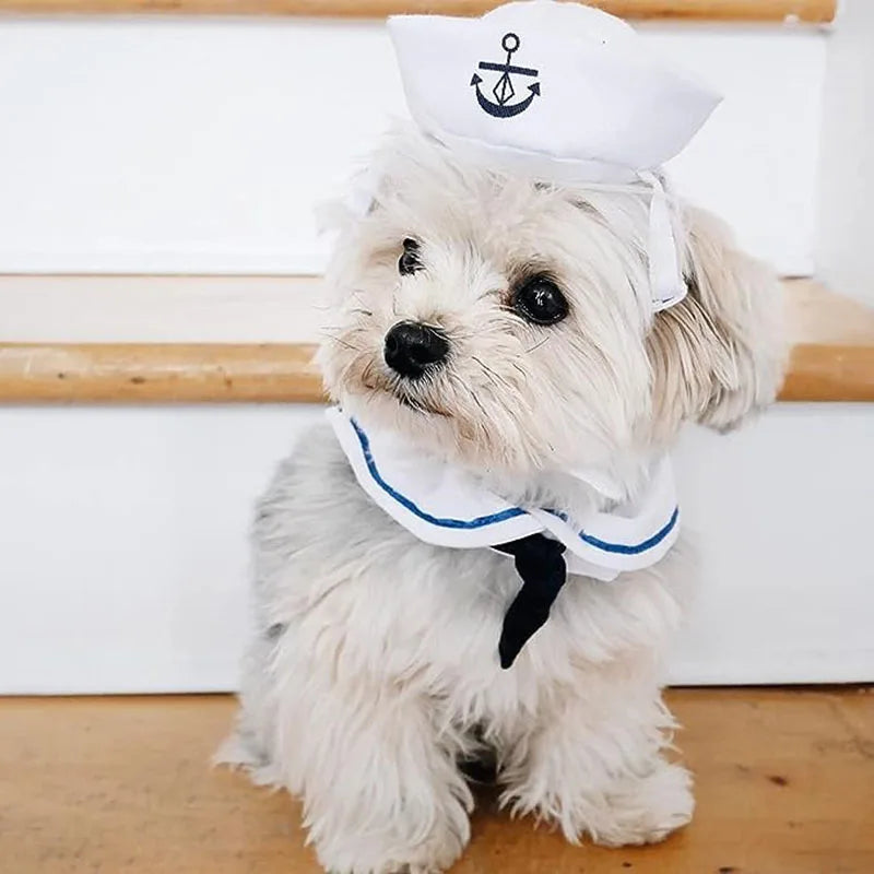 Furiva Sailor Pet Costume for Dogs & Cats from Furiva Pets