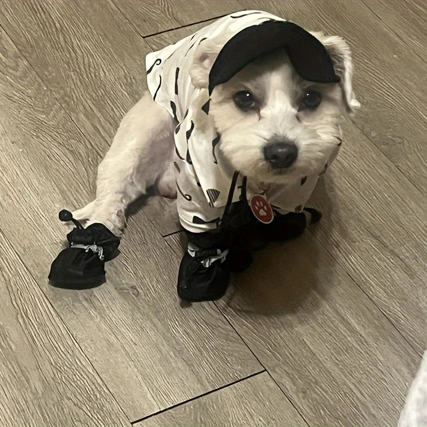 Small dog wearing a set of black rain boots