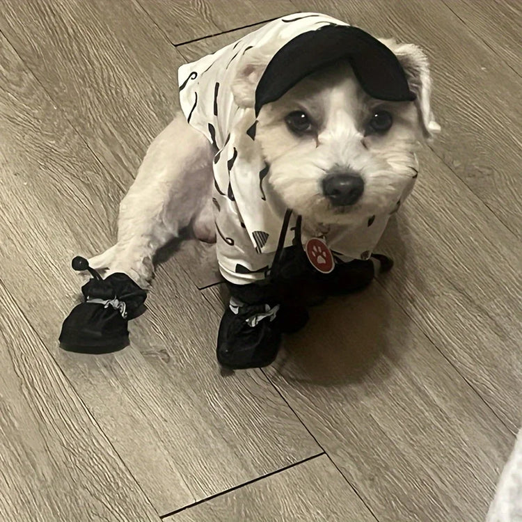Small dog wearing a set of black rain boots