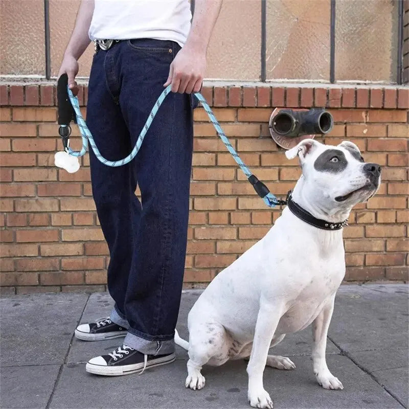 Furiva Reflective Padded-Handle Dog Leash - product image 6