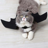Furiva Black Bat Wings Pet Costume - product image 5