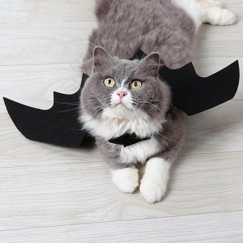 Furiva Black Bat Wings Pet Costume - product image 5