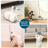 Paw Print Ink Pad for Dogs & Cats | Furiva Pets
