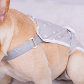 Furiva Adjustable Dog Diaper Suspender Shorts - product image 5