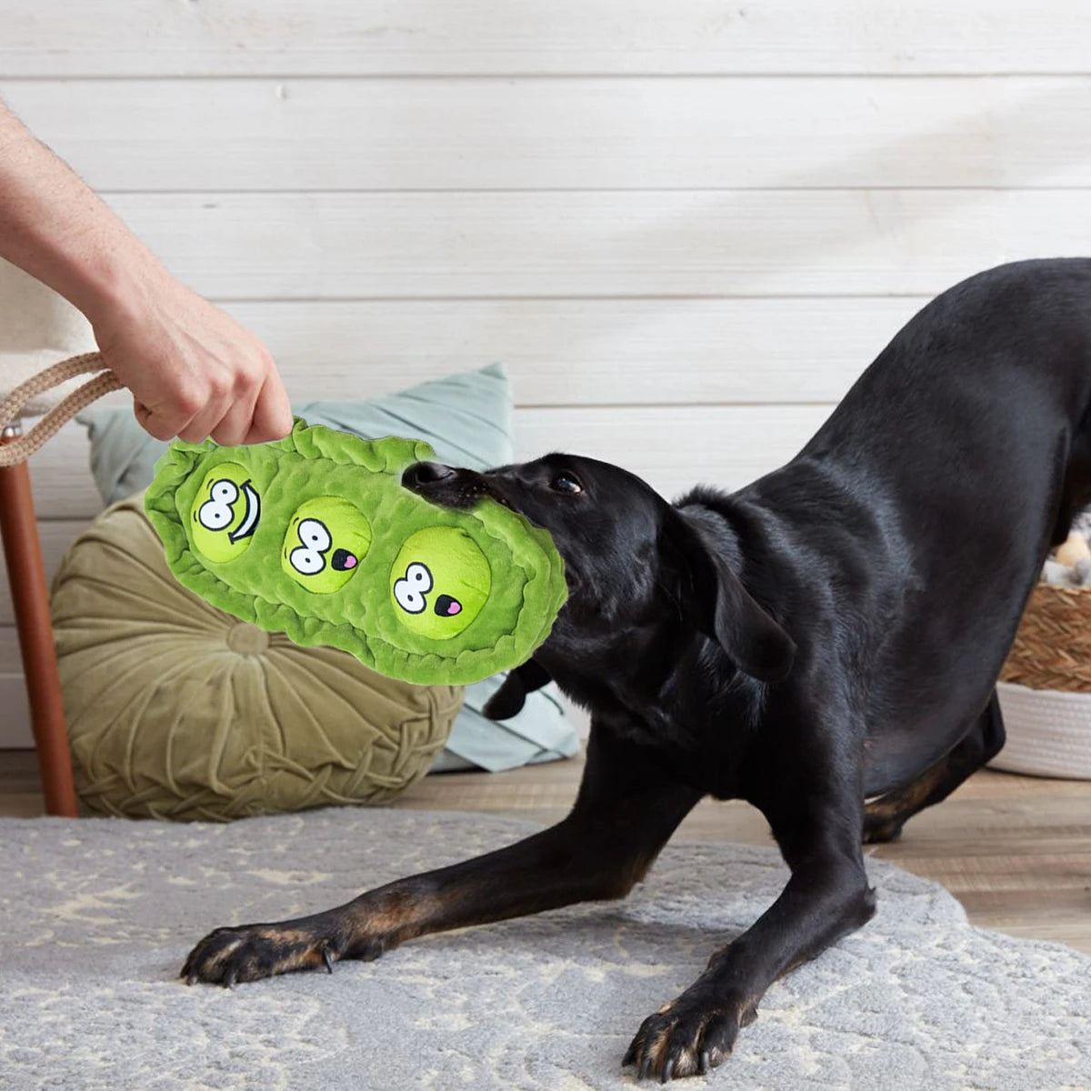 Furiva Pea Pod Treat-Hiding Plush Toy from Furiva Pets