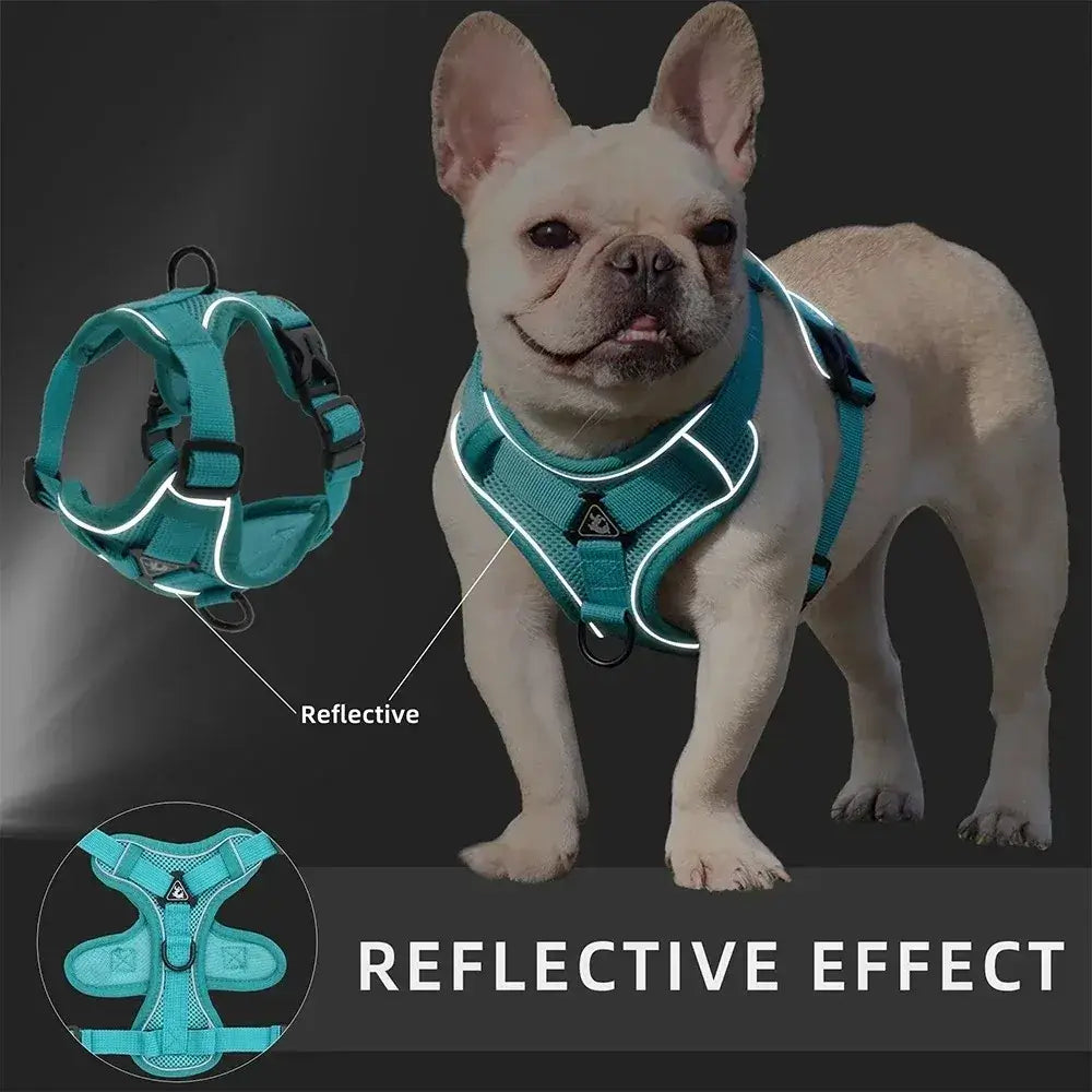 Furiva Reflective Harness & Leash Set - product image 5