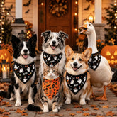 Furiva Halloween Ghost & Pumpkin Pet Bandana from Furiva Pets