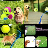 Furiva Tennis Ball Launcher Set - product image 5