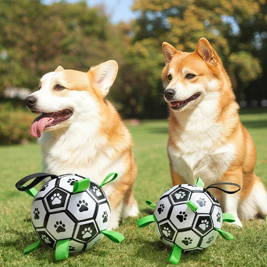 Furiva Grab-Tab Dog Soccer Ball from Furiva Pets