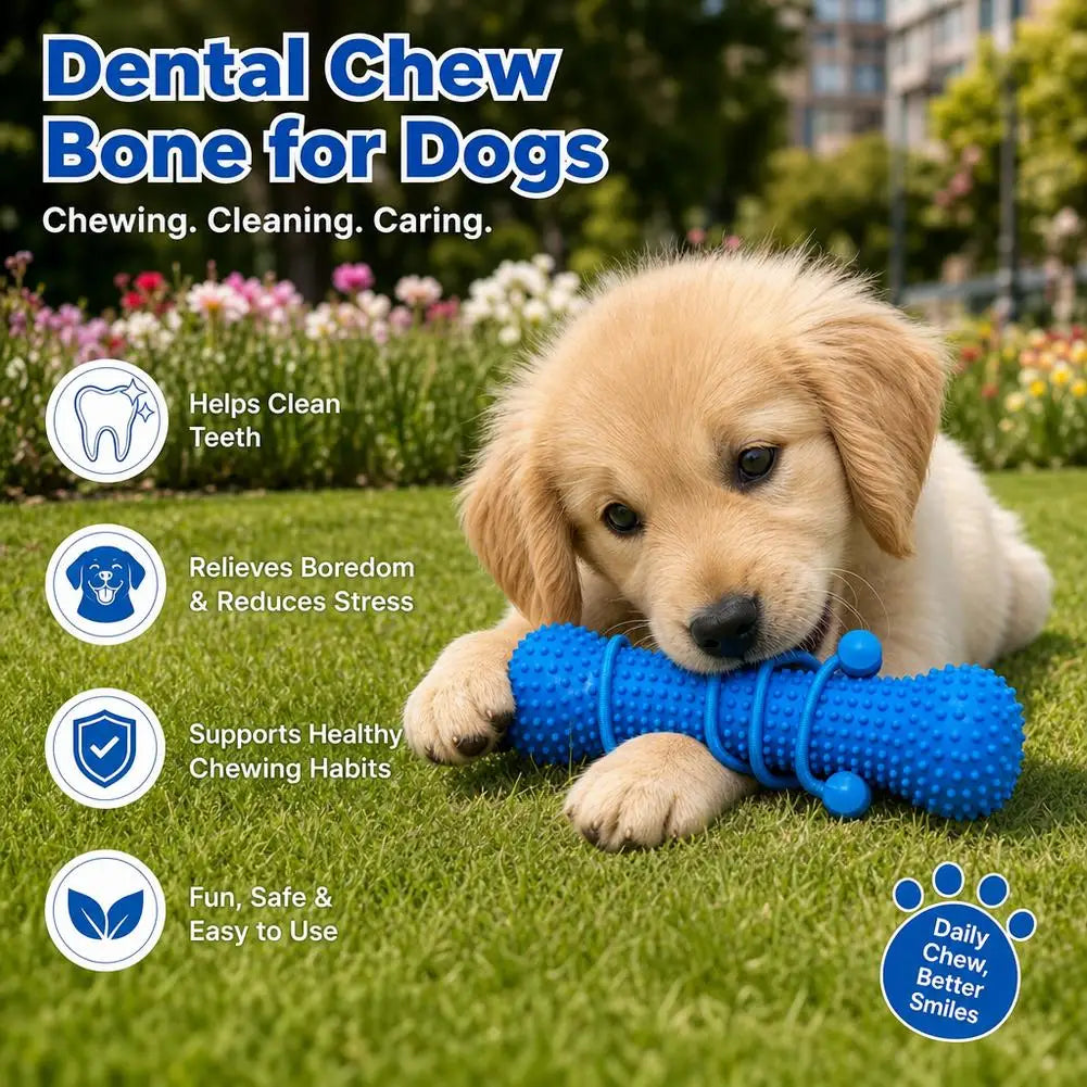 Furiva Dental Chew Bone & Brushing Aid - product image 3