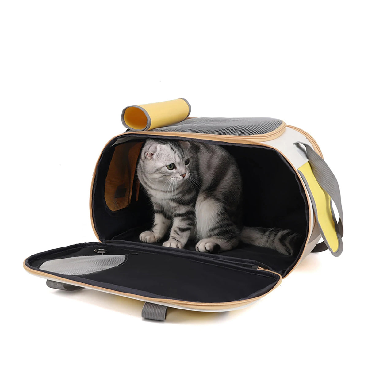 Furiva Foldable Soft-Sided Pet Travel Carrier - product image 6