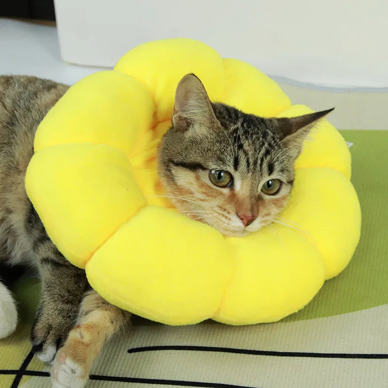 Cat wearing a yellow sunflower recovery collar
