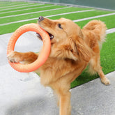 Furiva Dog Fetch & Tug Ring for Dogs from Furiva Pets