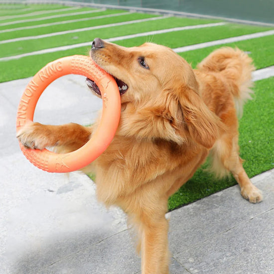 Furiva Dog Fetch & Tug Ring for Dogs from Furiva Pets