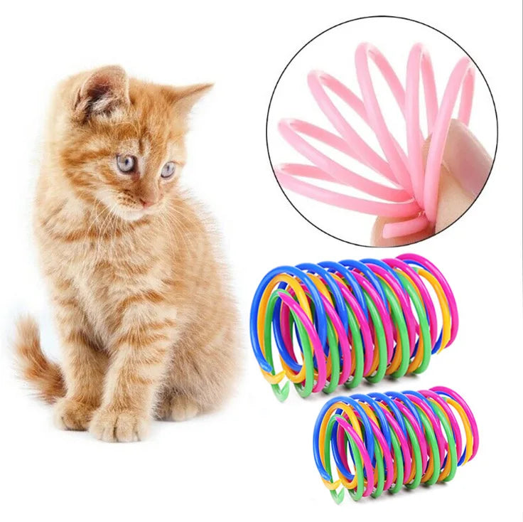 Kitten beside flexible colorful plastic spring toys