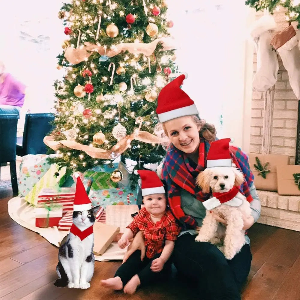 Furiva Santa Hat & Scarf Pet Set - product image 6