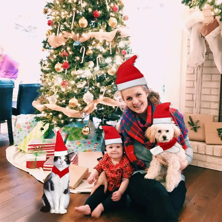 Furiva Santa Hat & Scarf Pet Set - product image 6