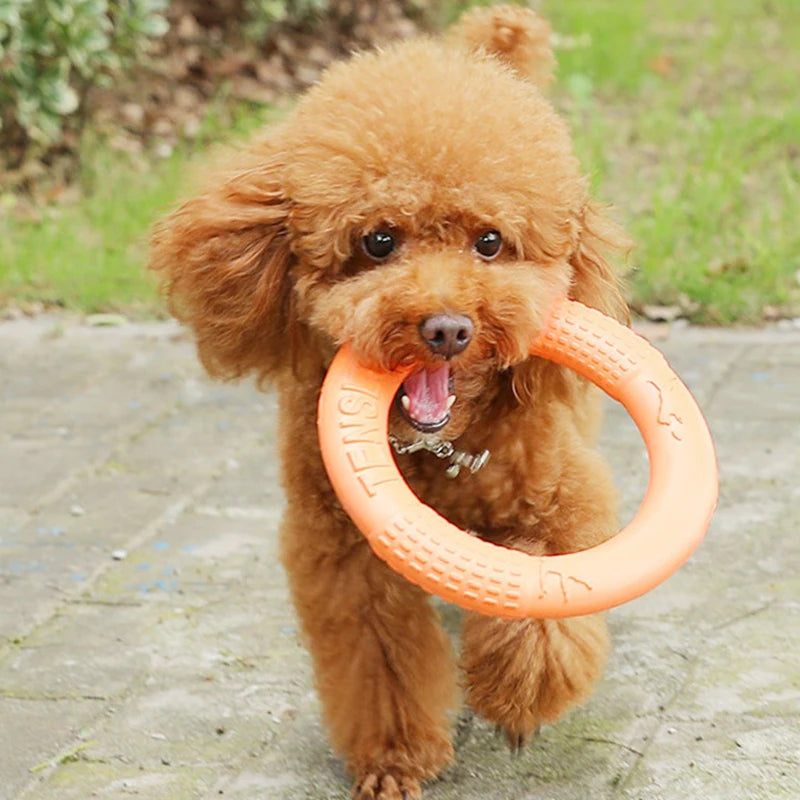 Furiva Dog Fetch & Tug Ring for Dogs - product image 2