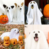 Furiva Halloween Ghost Cloak for Dogs & Cats - product image 3