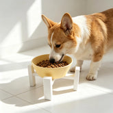 Furiva Compact Raised Pet Bowl Holder - product image 4