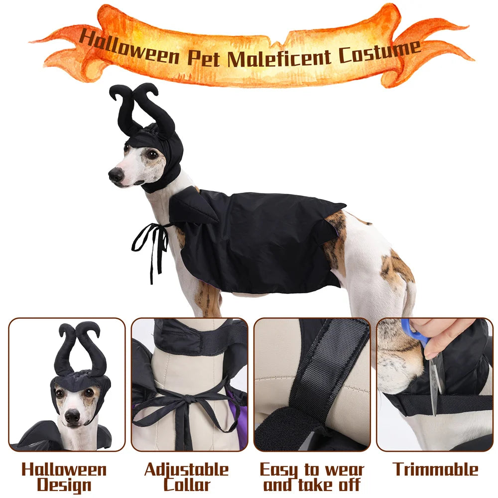 Furiva Black & Purple Villain Pet Cape Set - product image 3