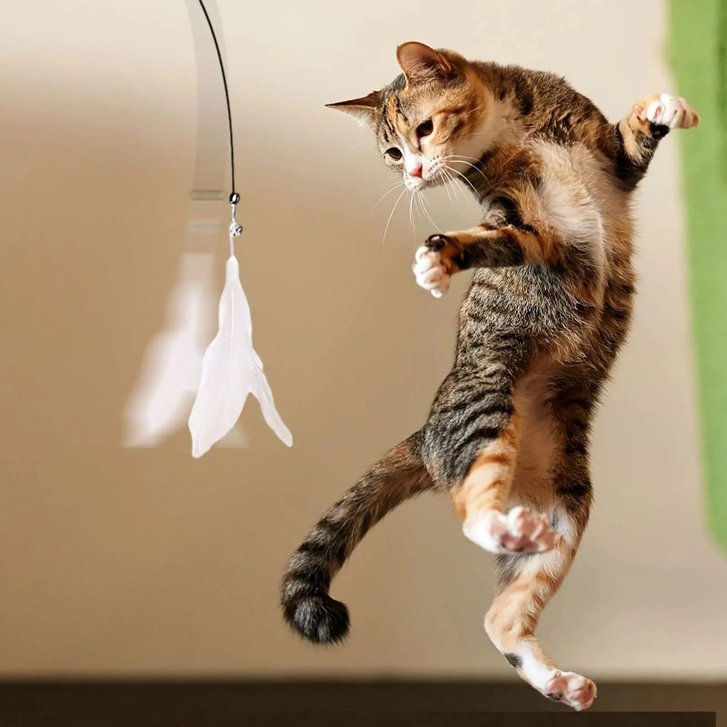 Furiva Suction-Cup Cat Teaser Wand - product image 6