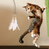 Furiva Suction-Cup Cat Teaser Wand - product image 6