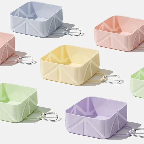Foldable silicone travel bowl for pets in assorted colors – product overview