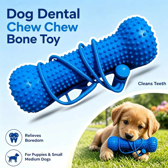 Furiva Dental Chew Bone & Brushing Aid from Furiva Pets