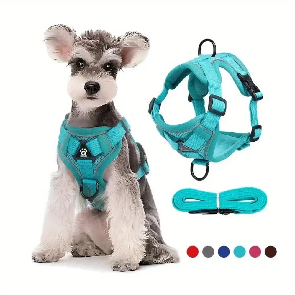 Furiva Reflective Harness & Leash Set from Furiva Pets