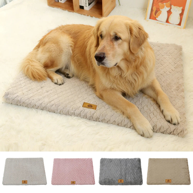 Furiva Removable Pet Bed Cushion from Furiva Pets