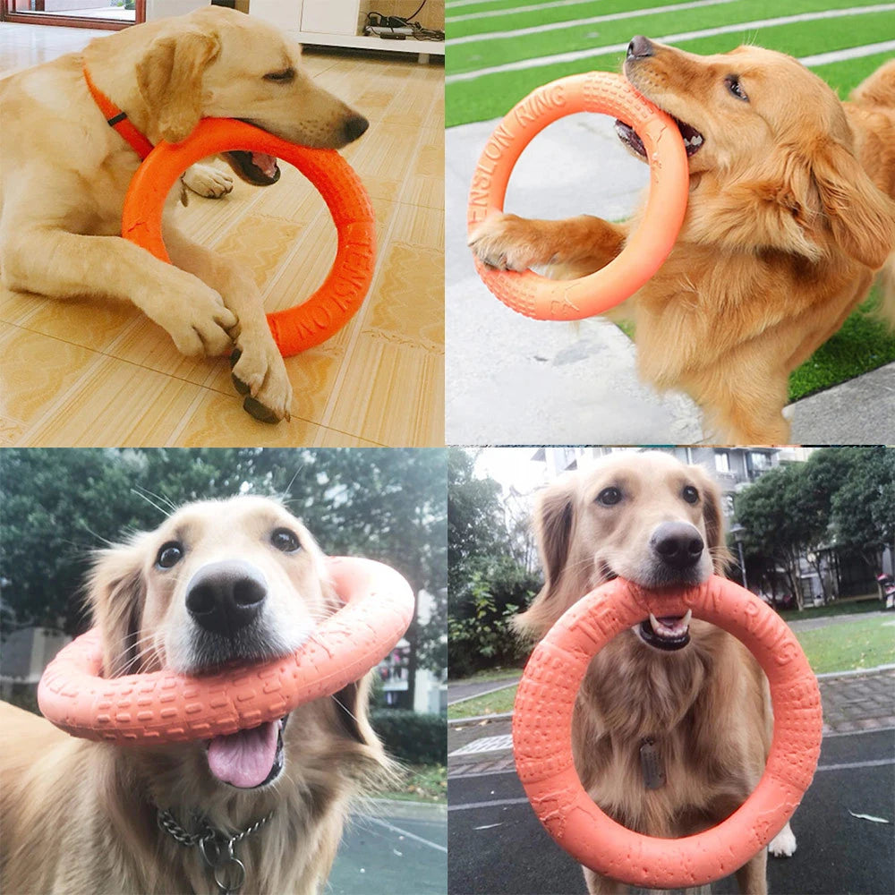 Furiva Dog Fetch & Tug Ring for Dogs - product image 5